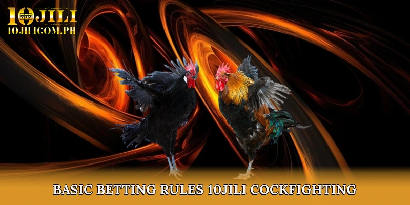 Basic Betting Rules 10JILI Cockfighting