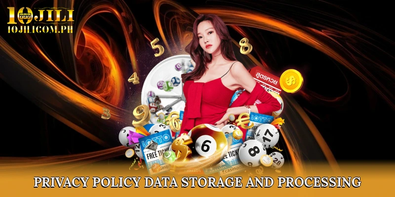 Privacy Policy – Data Storage and Processing