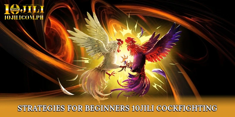 Basic Strategies for Beginners 10JILI Cockfighting