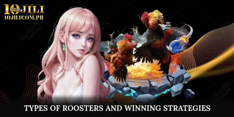 Types of Roosters and Winning Strategies in 10JILI Sabong Online